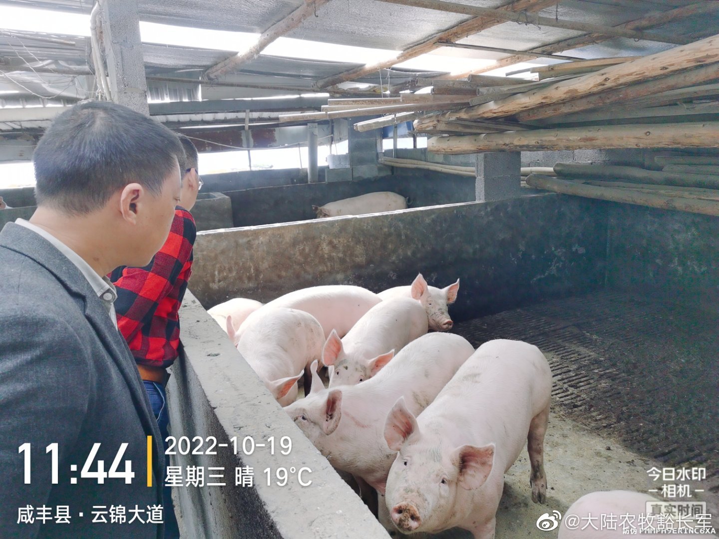 微信圖片_202211191713422.jpg 微信圖片_202211191713422.jpg